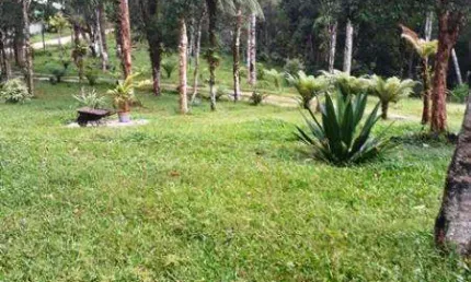 Chácara / sítio com 4 quartos à venda na Rua Estrada Do Pinheiro Seco, Borda do Campo, São José dos Pinhais