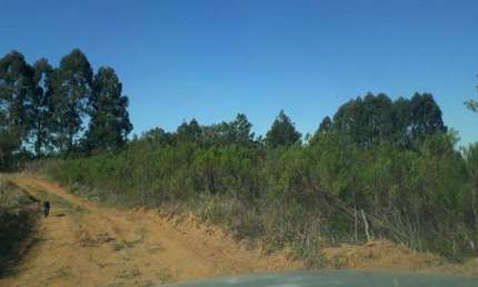 EXCELENTE CHACARA COM 36.300 M2 CAMPESTRE TIJUCAS 170.000