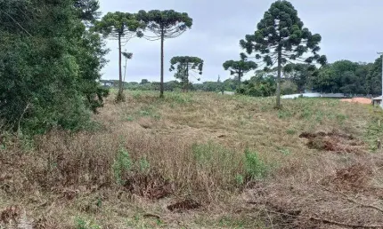 EXCENTE CHACARA COM 6.000 M2 SEM BENFEITURIAS C. LARGO 300,000,000