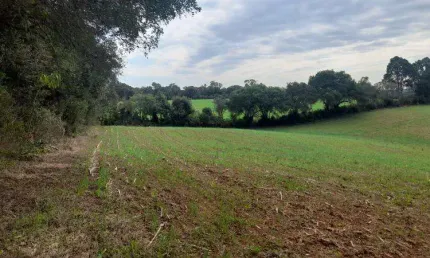 EXCELENTE CHACARA COM 56.000 M2 SEM BENFEITURIA PIRAQUARA 650.000,00
