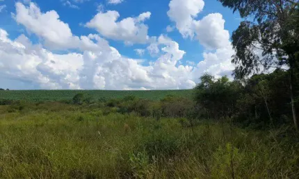 Chácara / sítio com 1 quarto à venda na Estrada Saragura, 1, Campina do Taquaral, São José dos Pinhais