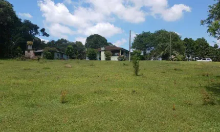 Excelente chacara com 21.000 m2 com casa e lanchonete 680.000 roseira do c. largo