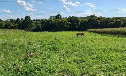 EXCENTE CHACARA COM 7.800 M2 SEM BENFEITURIAS  C.LARGO DA ROSEIRA 550.000,00