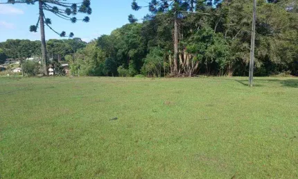 EXCELENTE CHACARA COM 20.000 M2 CAMPO LARGO DA ROSEIRA 650.000,00 SEM BENFEITURIAS