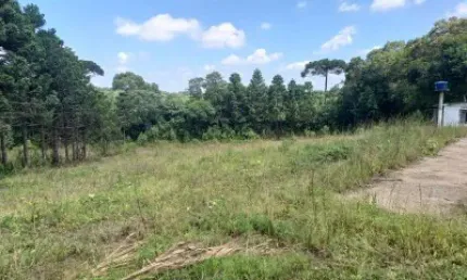 EXCELENTE CHACARA COM 5.000 C,LARGO DA ROSEIRA SEM BENFEITURIAS 290.000,00