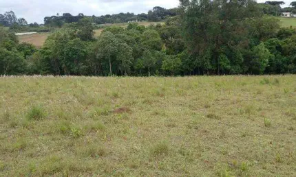 Chácara / sítio à venda na Rua Rua  Francisco Ferreira Da Rocha Loures, Campo Largo da Roseira, São José dos Pinhais