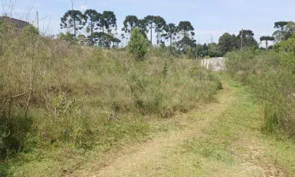 EXCENTE AREA RURAL COM 1700 M2 C.LARGO DA ROSEIRA 190.000 SEM BENFEITURIAS