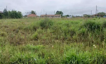 Excelente chacara sem benfeiturias 2.000 m2 campo l.da roseira 330.000,00