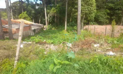 Excelente lote com 390 m2 sem benfeiturias sendo 13x30 -390 m2 bairro das nacoeis  fazenda r.grande 180000