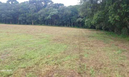 Chácara / sítio à venda na Praça Padre Francisco Proft, Contenda, São José dos Pinhais