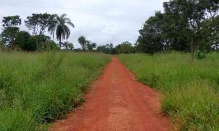Fazenda de 60,27 hectares à venda na Região Fazenda Bandeira, em Abaeté - MG.