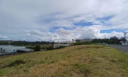 Terreno à venda na Avenida Vereador Adão Rodrigues de Oliveira, 3624, Ideal, Novo Hamburgo por R$ 8.000.000