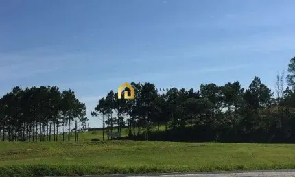 Área Comercial à venda na Rodovia Castelo Branco!!!