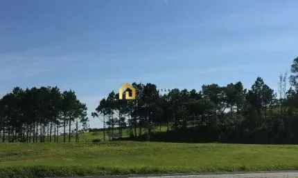 Área Comercial à venda na Rodovia Castelo Branco!!!