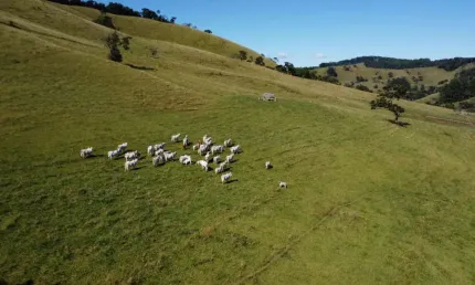 Chácara / sítio com 4 quartos à venda na Zona  Rural, Centro, Camanducaia
