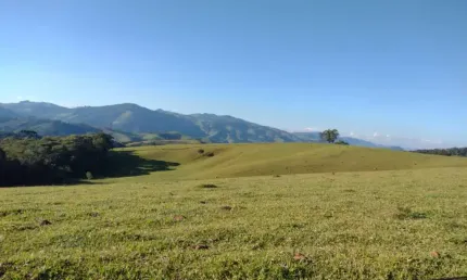 Chácara / sítio com 3 quartos à venda na Ouro Fino Mg., 000, Zona Rural, Ouro Fino