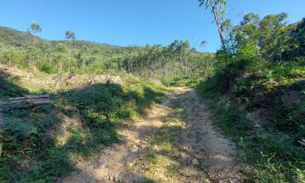 Chácara / sítio à venda no Cedro Grande, Brusque 