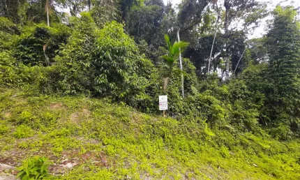 Terreno à venda no Guarani, Brusque 