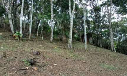 Chácara / sítio à venda no Limeira Baixa, Brusque 