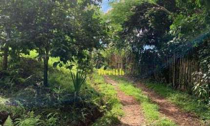 Chácara à venda, 3000 m² por R$ 250.000,00 - Taboão - Taubaté/SP