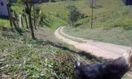 Terreno à venda, 2450 m² por R$ 280.000,00 - Santo Antônio Do Pinhal - Santo Antônio do Pinhal/SP