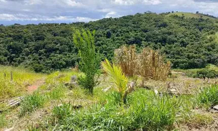 Chácara com 2 dormitórios à venda, 1200 m² por R$ 200.000,00 - Granjas Rurais Reunidas São Judas Tadeu - Taubaté/SP