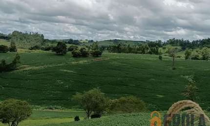 Chácara / sítio à venda na Poema, Zona Rural, Nova Tebas