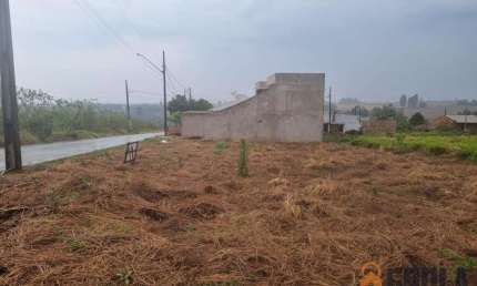 Terreno para Venda em Campo Mourão, Residencial Isabela