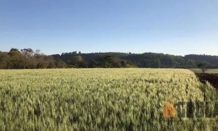 Chácara / sítio à venda na Área Rural de Campo Mourão, Campo Mourão 