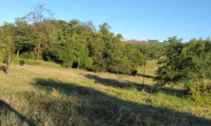 Chácara / sítio à venda na Estrada Boiadeira Km 487, Zona Rural, Araruna