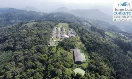 Chácara / sítio à venda na Avenida Vicente Prietto, Morro Bock, Picada Café