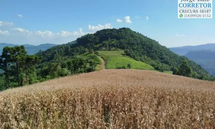 Área com vista pra venda em Picada Café, Serra Gaúcha.