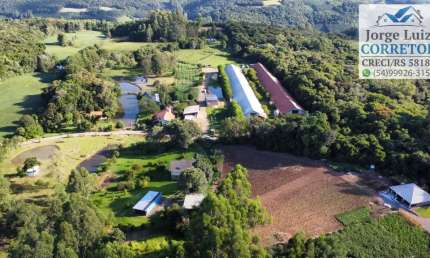 Excelente sítio produtivo pra venda em Nova Petrópolis Serra Gaúcha.