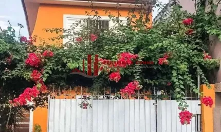 Casa com 5 quartos à venda na Rua São Delfino, --, Vila Sabrina, São Paulo