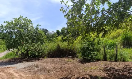 Chácara / sítio à venda na Vila Breda, 00, Zona Rural, Piracicaba