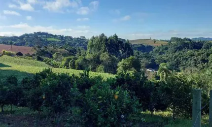 Chácara / sítio com 2 quartos à venda no Bateias, Campo Largo 