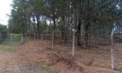 Chácara / sítio com 1 quarto à venda na Zona Rural, Campo Largo 