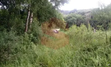 Chácara / sítio com 1 quarto à venda na Zona Rural, Campo Largo 