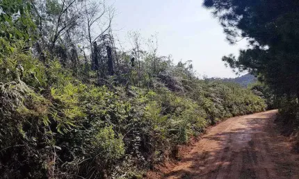 Chácara / sítio à venda na Rua Cassimiro Karman, s/n, Bateias, Campo Largo