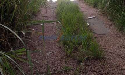Terreno comercial à venda no Dois Córregos, Valinhos  por R$ 3.864.000