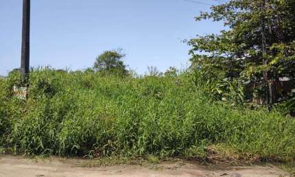 Terreno para Venda em Guaratuba, Balneário Nereidas
