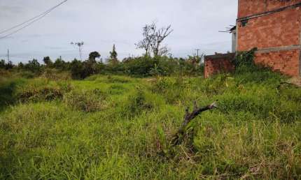 Terreno à venda na Avenida Vinte e Nove de Abril, Cohapar, Guaratuba
