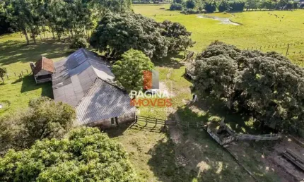 Página 1 Imóveis anuncia para venda excelente oportunidade de &amp;quot;fazenda&amp;quot; com 80 hectares no bairro Lomba Grande em Novo Hamburgo–RS. - FA412