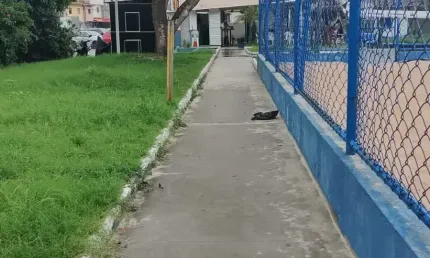 Apartamento com 2 quartos à venda na Avenida Laurindo Régis, 04, Engenho Velho de Brotas, Salvador