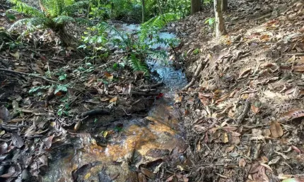 Terreno à venda na Módulo, s/n, 100, Pedra Azul, Domingos Martins por R$ 2.190.000
