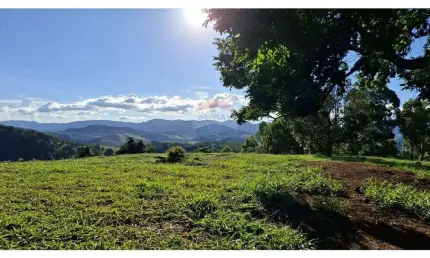 Sítio Produtivo à Venda – 7,5 Alqueires de Terra Fértil com Infraestrutura Completa!
