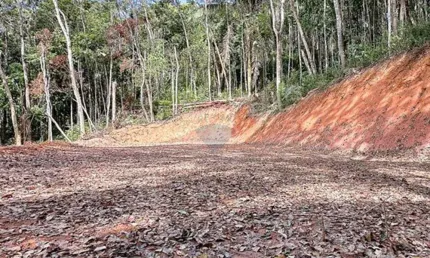 Terreno Exclusivo de 8.000 m² no Recreio Campestre – Escritura Pronta para Construir