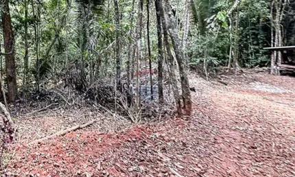 Terreno 25.000m²  frente para riacho, próx. cascata do galo,  escritura individual em domingos martins