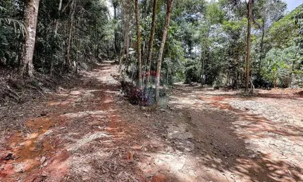 Terreno com 27.000 mts² com platô e acesso ao riacho, escriturado em Domingos Martins