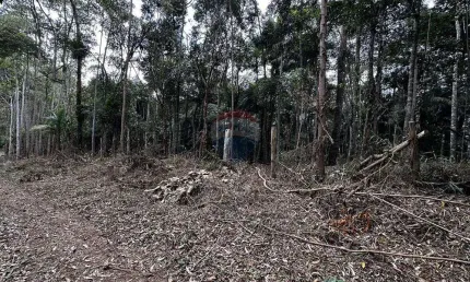 Terreno com 7900 m² em Pedra Azul com Escritura Individual no Vivendas de Pedra Azul
